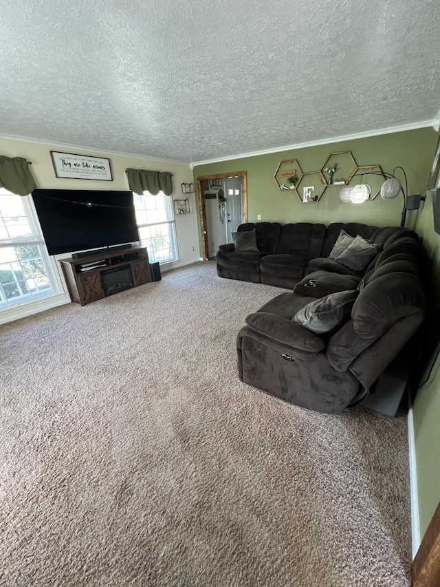 living room with carpet, a textured ceiling, and ornamental molding