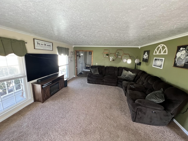 carpeted living room with a textured ceiling and crown molding