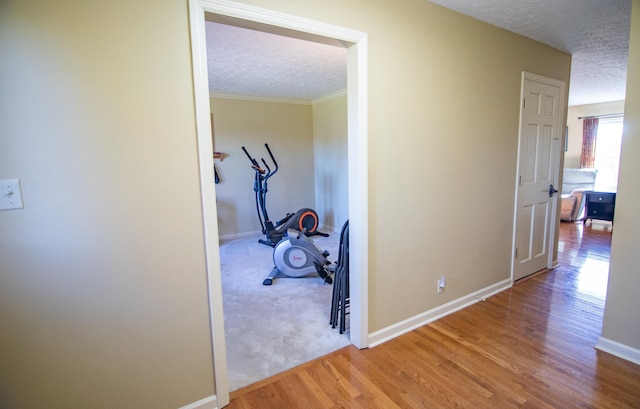 hall featuring hardwood / wood-style floors, crown molding, and a textured ceiling