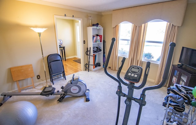 workout area featuring light carpet and ornamental molding