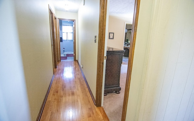 hall with light hardwood / wood-style flooring