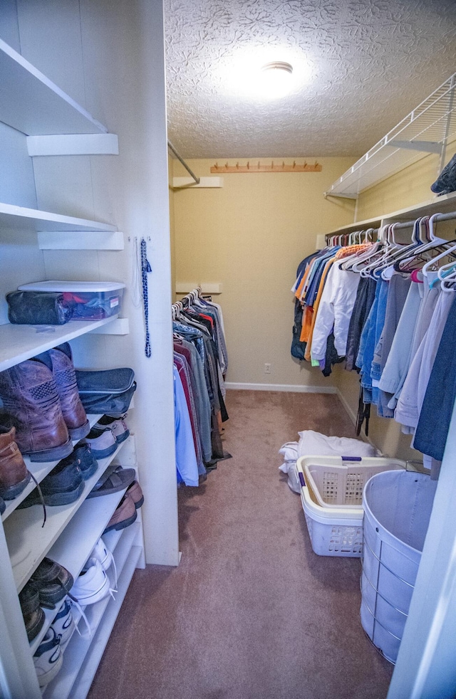 spacious closet featuring carpet