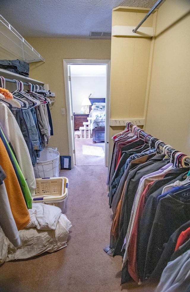 spacious closet featuring carpet flooring