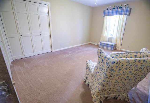 living area featuring carpet flooring