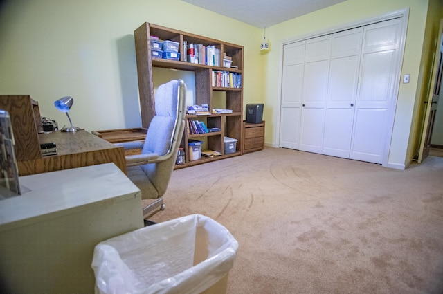 home office with carpet floors