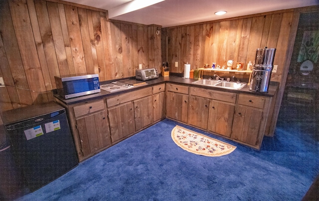 kitchen with wood walls, sink, and dark colored carpet