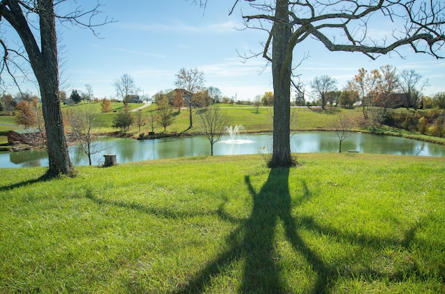 property view of water