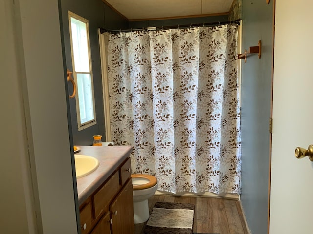 bathroom featuring toilet, a shower with curtain, vanity, and wood-type flooring