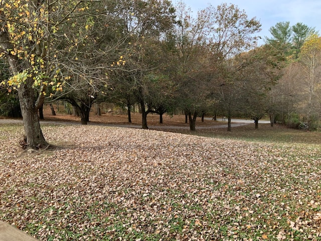 view of local wilderness featuring a rural view