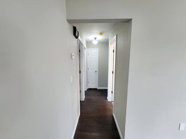 hall with dark hardwood / wood-style flooring