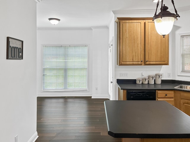 kitchen featuring dishwasher, hanging light fixtures, ornamental molding, dark wood-type flooring, and sink