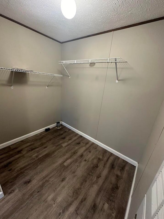 spacious closet featuring dark hardwood / wood-style floors