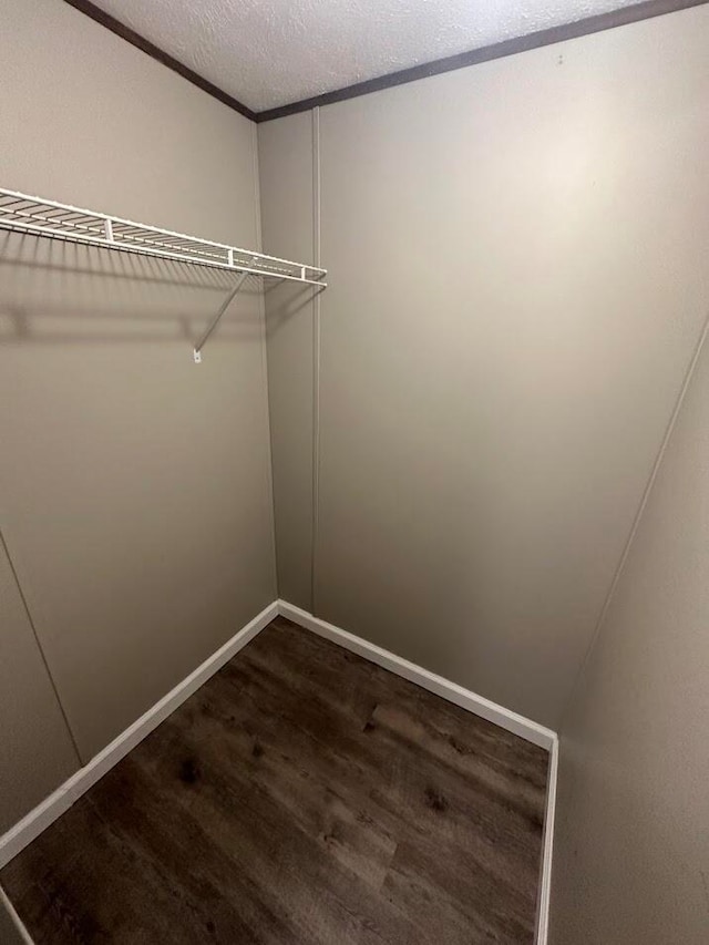 spacious closet featuring dark hardwood / wood-style floors