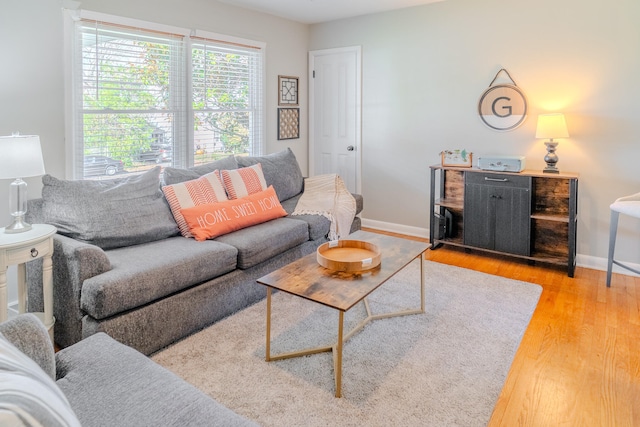 living room featuring light hardwood / wood-style floors