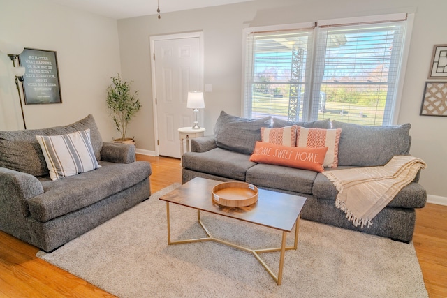 living room with hardwood / wood-style floors