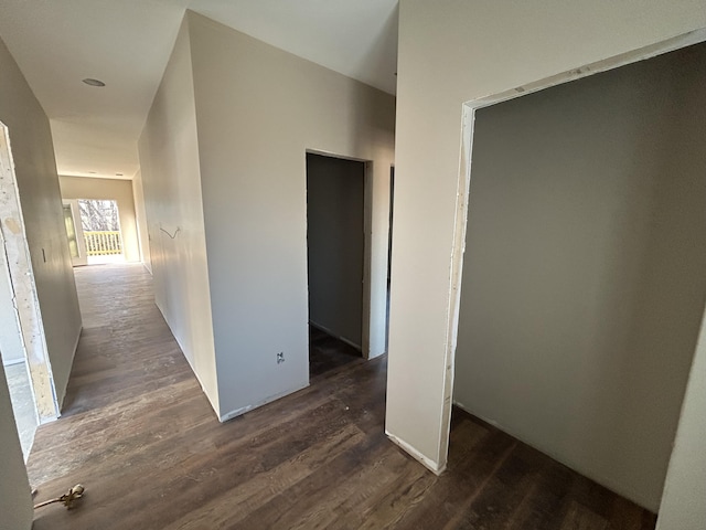 hall featuring dark hardwood / wood-style floors