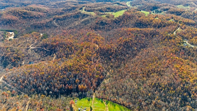 TBD Open Fork Rd, Morehead KY, 40351 land for sale