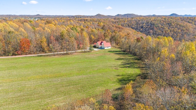 drone / aerial view with a mountain view