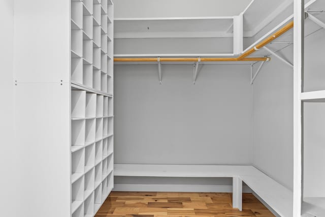 spacious closet featuring hardwood / wood-style flooring