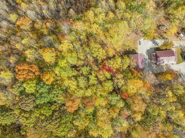 2446 Poplar Springs Rd Unit 2, Liberty, KY 42539 - view from above of property