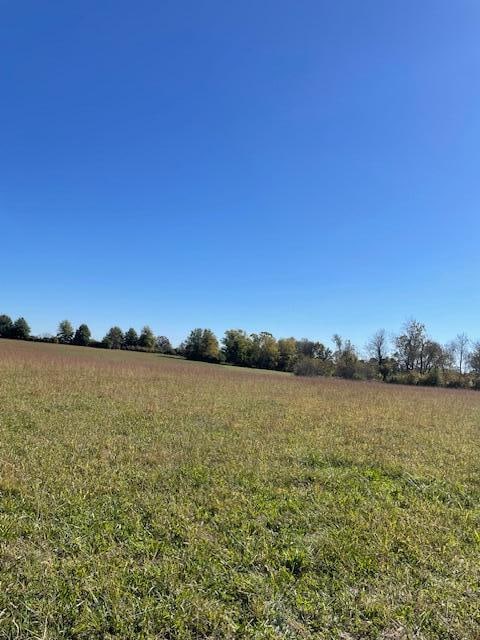 view of yard featuring a rural view