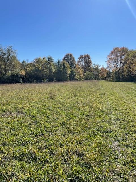 view of yard featuring a rural view