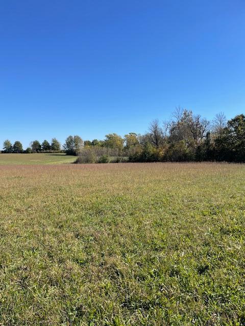 view of yard featuring a rural view