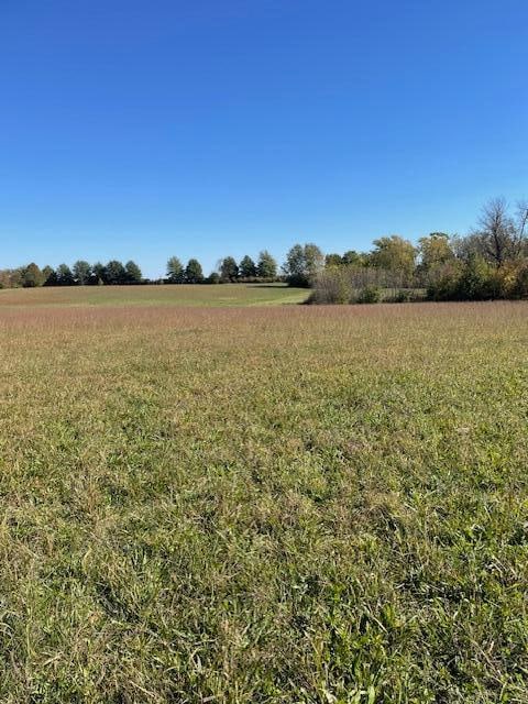 view of yard featuring a rural view