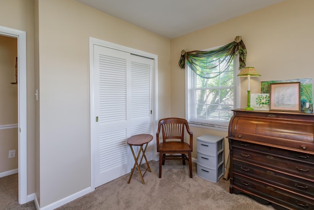 sitting room with light carpet