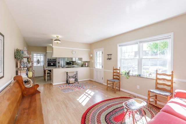 living room with a wealth of natural light and light hardwood / wood-style floors