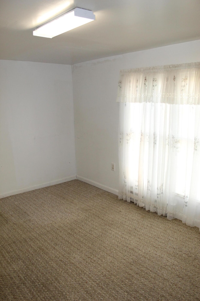 unfurnished room featuring a wealth of natural light and carpet