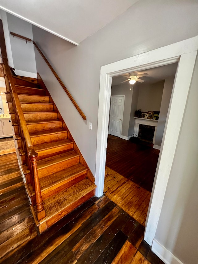 stairs featuring hardwood / wood-style flooring and ceiling fan