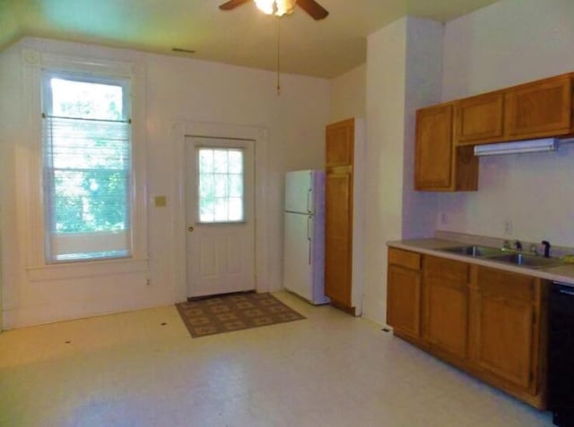 kitchen featuring sink, ceiling fan, a healthy amount of sunlight, and white fridge