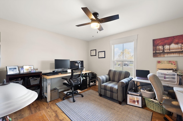 office featuring hardwood / wood-style flooring and ceiling fan