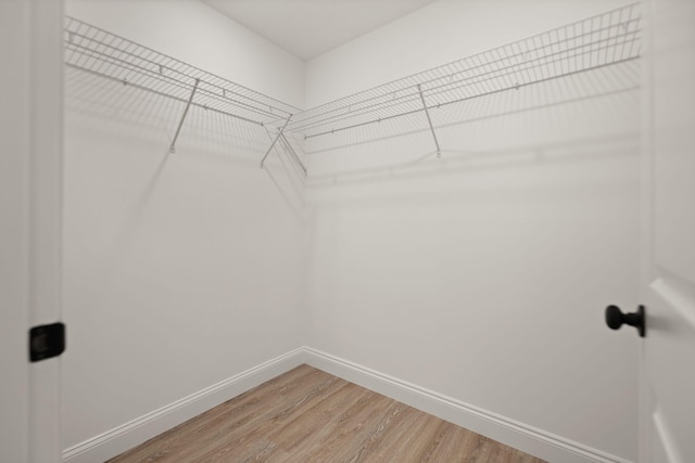 spacious closet featuring hardwood / wood-style floors