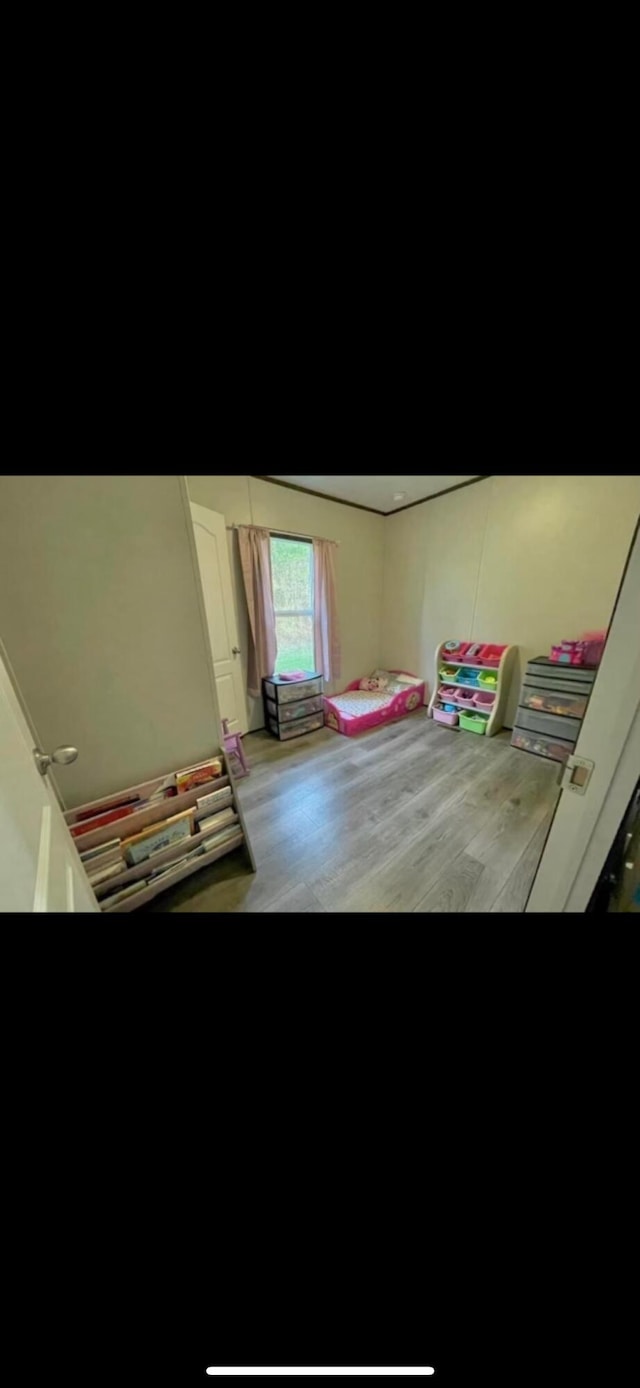 bedroom with wood-type flooring