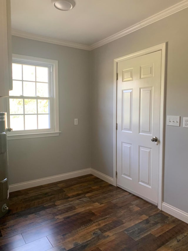 spare room featuring ornamental molding and dark hardwood / wood-style floors