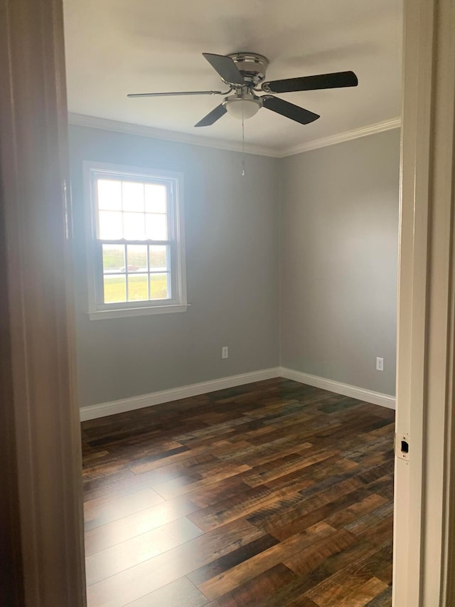 spare room with ornamental molding, dark wood-type flooring, and ceiling fan