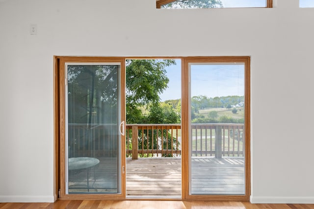 doorway featuring a wealth of natural light and light wood-type flooring