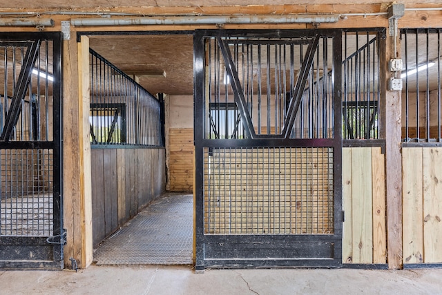 view of horse barn