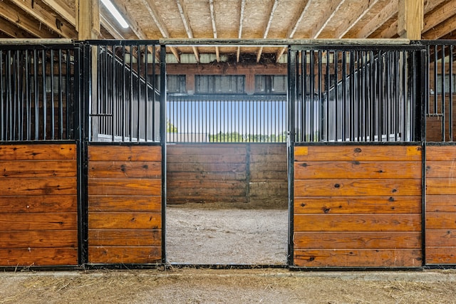 view of horse barn