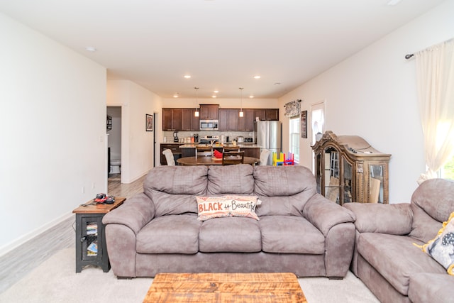 living room with light hardwood / wood-style flooring