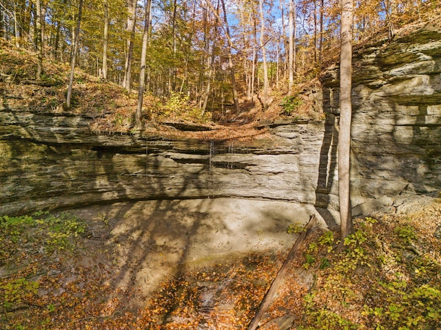 view of landscape