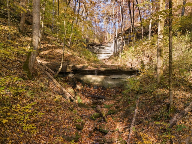 view of landscape