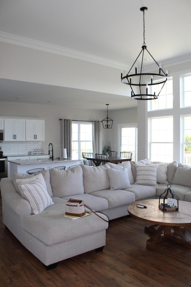 living room with a chandelier, a wealth of natural light, and dark hardwood / wood-style floors