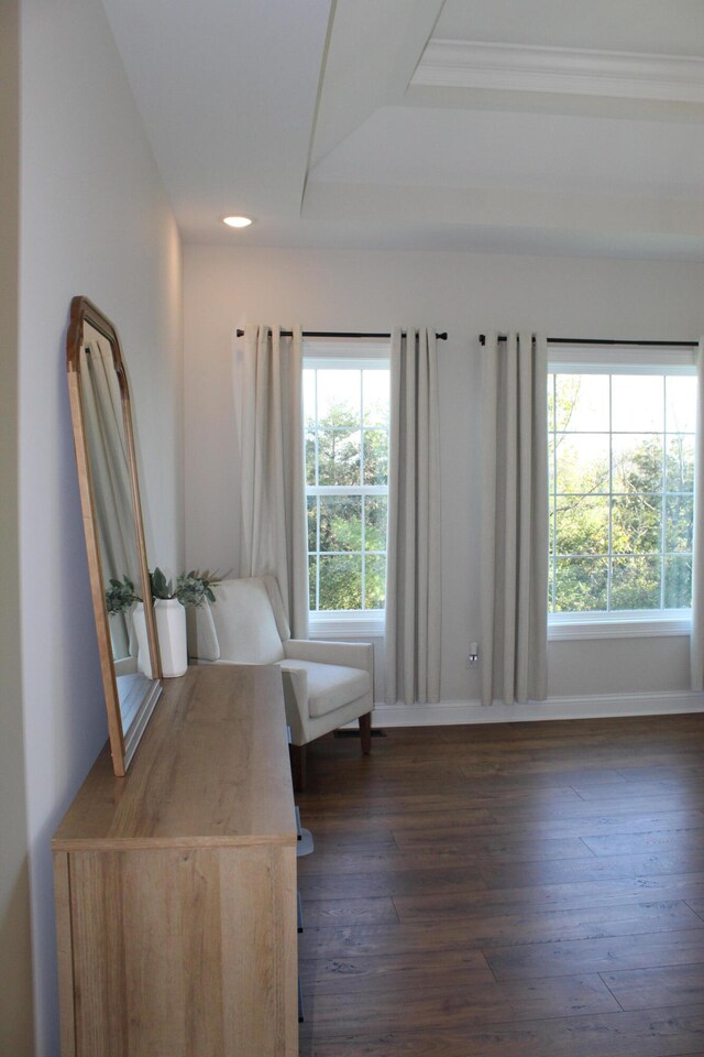 unfurnished bedroom with multiple windows, dark hardwood / wood-style floors, and a tray ceiling