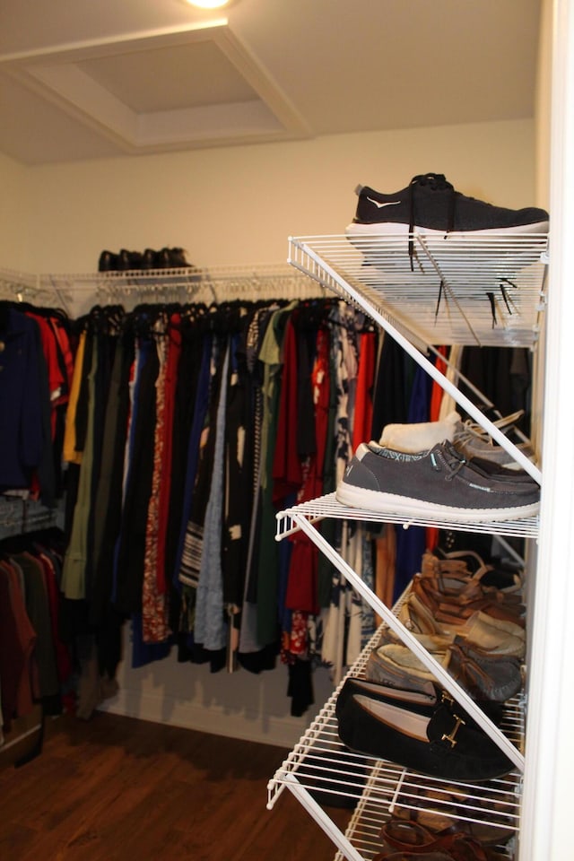 212 Patrum Sisters Way, Danville, KY 40422 - spacious closet with wood finished floors