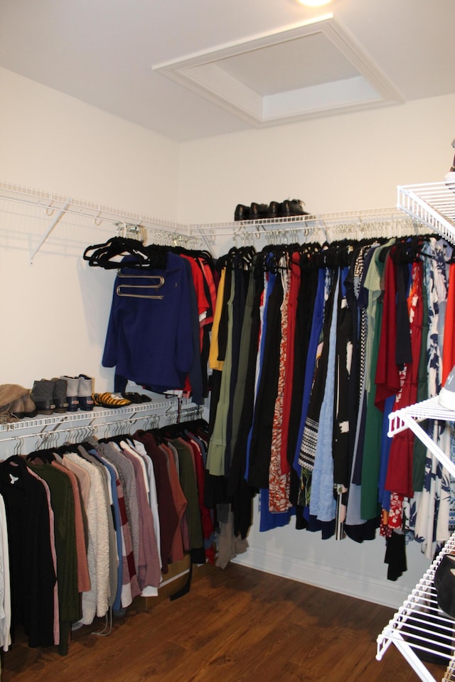 walk in closet with dark hardwood / wood-style flooring