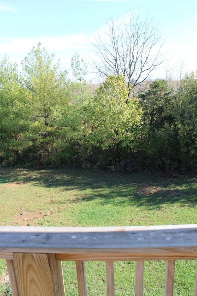 212 Patrum Sisters Way, Danville, KY 40422 - view of grassy yard