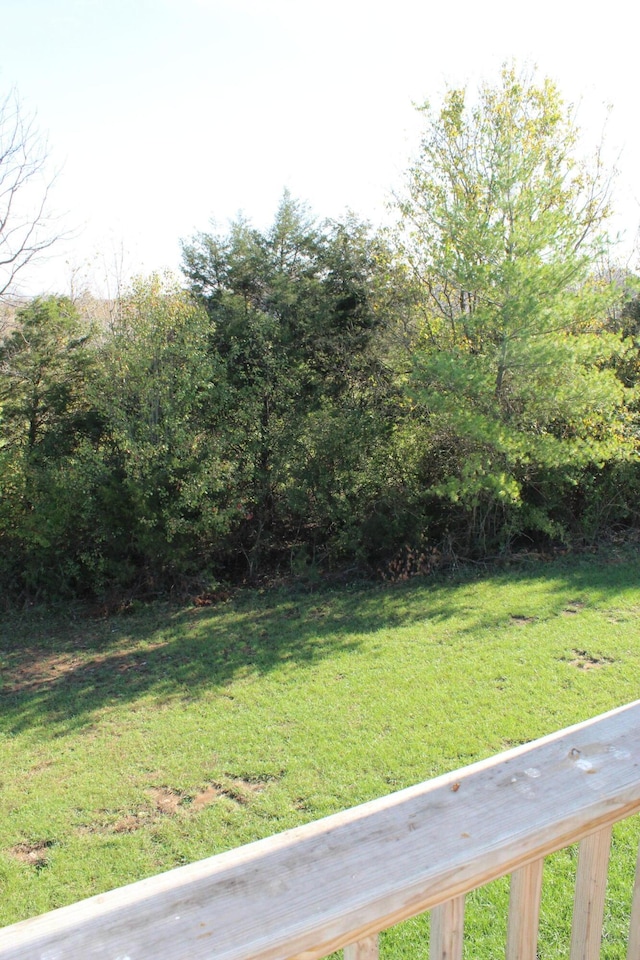 212 Patrum Sisters Way, Danville, KY 40422 - view of grassy yard